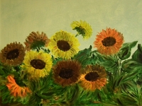 03 Girasoli - olio su tela